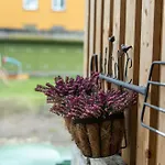 Apartament Garden Next To Telliskivi & Old Town Tallin